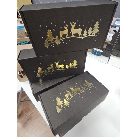 Kingikomplekt Jõuludeks